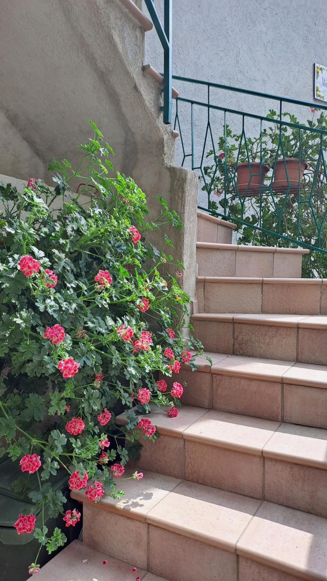 Casa Maria Lafinestrasulgarda Apartman Limone sul Garda Kültér fotó